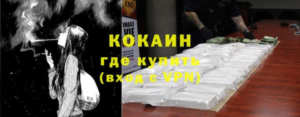apvp Гусев