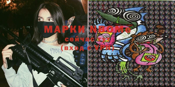 apvp Гусев