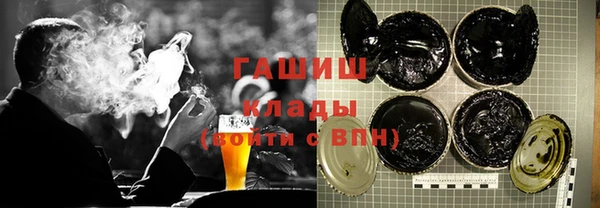 apvp Гусев