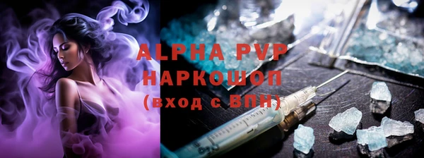 apvp Гусев