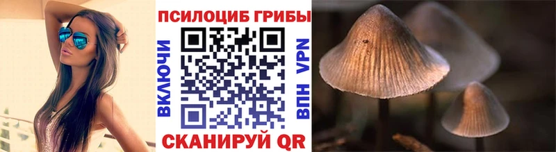 Галлюциногенные грибы Psilocybine cubensis omg вход Улан-Удэ наркота